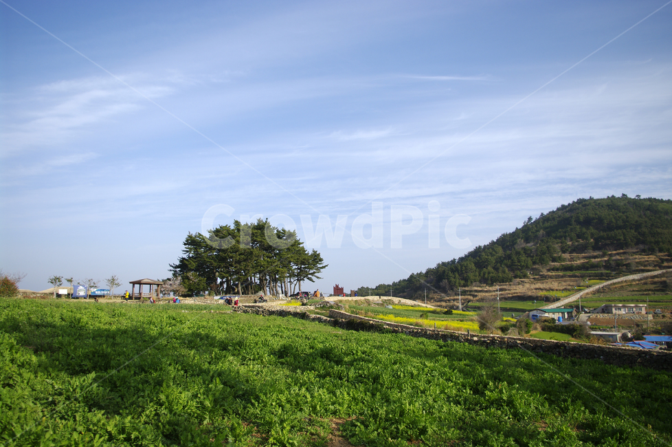 봄,spring,하늘,구름,풍경,마을,산,밭,시골,청산도,봄,계절,spring,season,자연,풍경,nature,landscape,한국자연풍경,한국자연경관,korea nature landscape,시골,마을,country,rural,town,outdoors,옥외,field,들,grassland,목초지