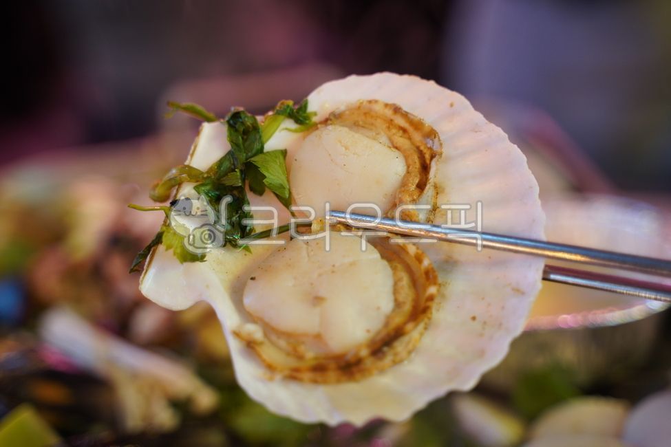 조개,해산물,해물탕,가리비,해물찜,seafood,food,음식