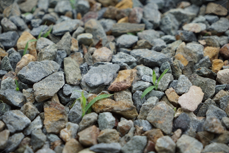 gravel,자갈,road,도로,풀,새싹
