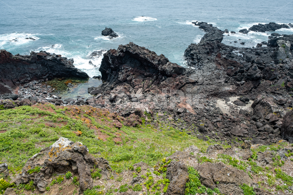 자연,제주,제주도,nature,섬,jeju,풍경,아름다운풍경,바다,파도,검은바위,바위,돌,바닷가,풀밭,곶,땅,land,성산일출봉,자연,풍경,nature,landscape,제주도,jeju,jeju island