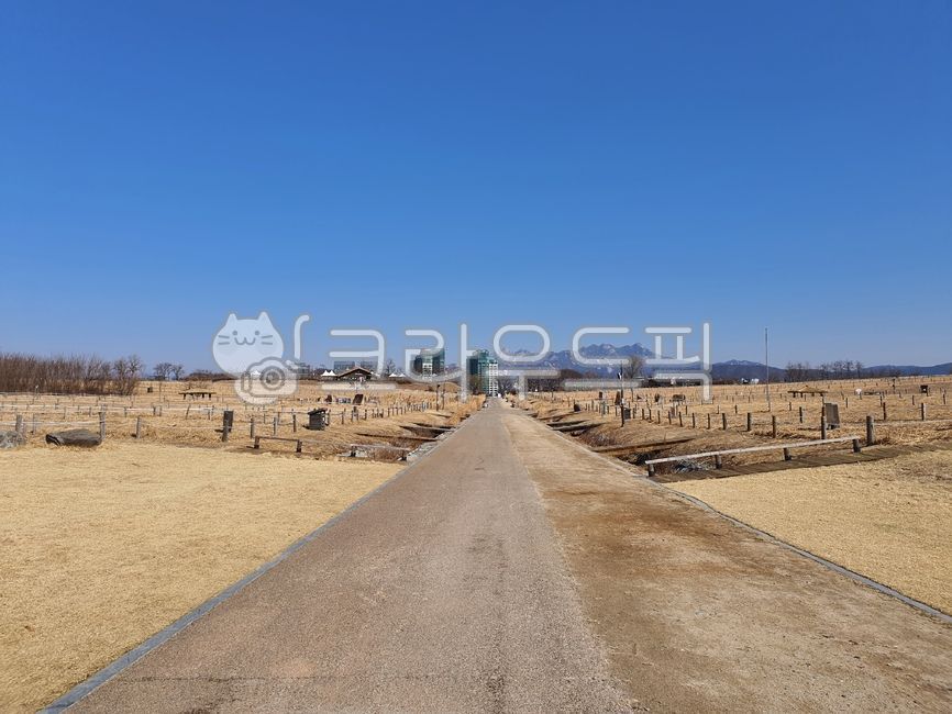 blue sky,vanishing point,World Cup Park,champaign,reed field,Earth,Reed,road,Sky Park,flat,Straight