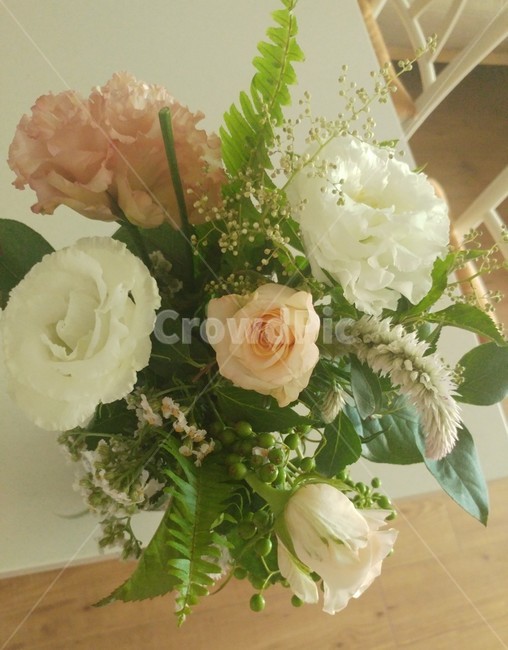 꽃,장미,식물,꽃다발,plant,rose,blossom,flower