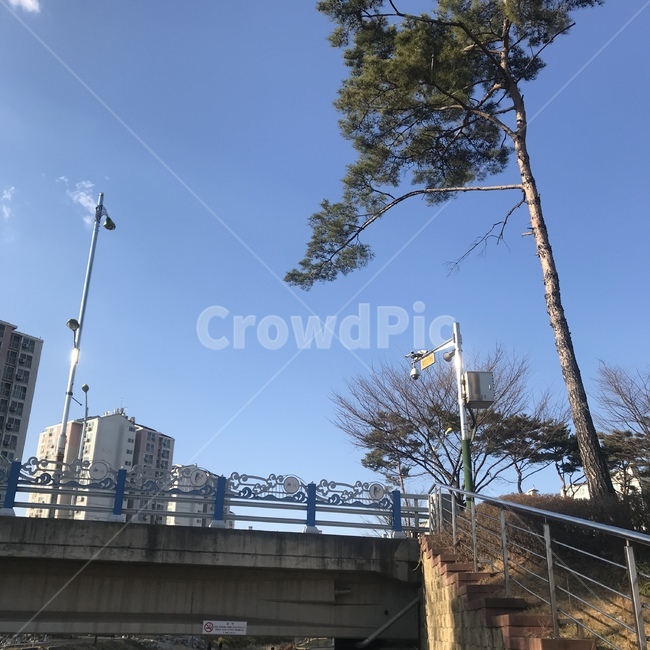 하늘색,하늘,나무,다리,미세먼지,도시,풍경,city,landscape,road,도로,freeway,고속 도로