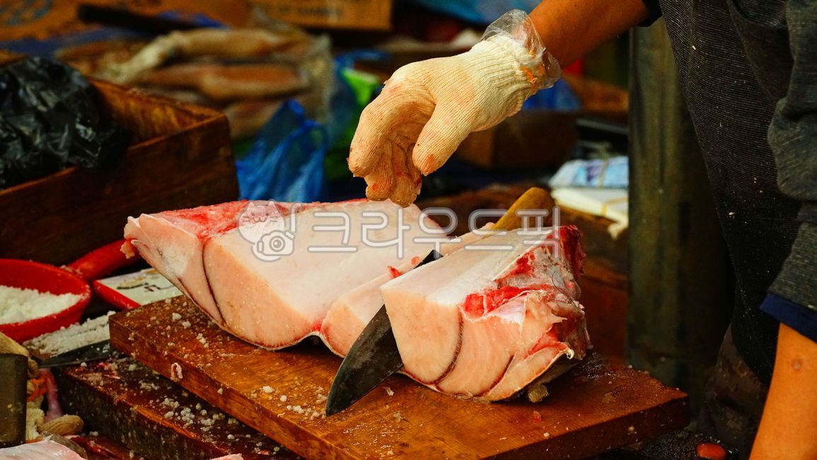 상어,상어고기,생선,고기,shark,sharkmeat,seafood,meat