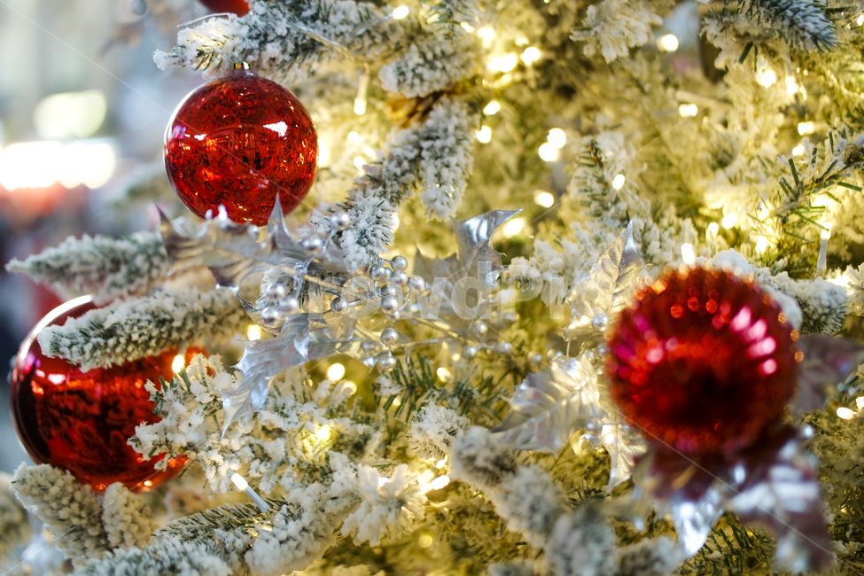 bokeh,크리스마스장식,pinetree,winter,christmasballs,christmasdecoration,merry,holiday,gold,season,ball,background,christmasornaments,겨울,계절,winter,season,기념일,축하,anniversary,congratulation,celebrate,celebration,메리크리스마스,성탄절,merry christmas