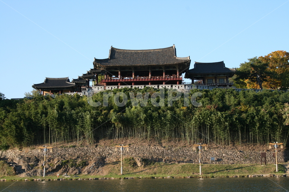 밀양,삼문동,영남루공원,나무,푸른