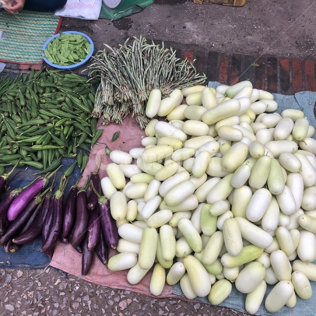 plant,식물,가지,무,시장,고추,daikon,eggplant,chili,market,음식,식재료,요리,food,cook,meal,dishes,food reserves,채소,야채,vegetables