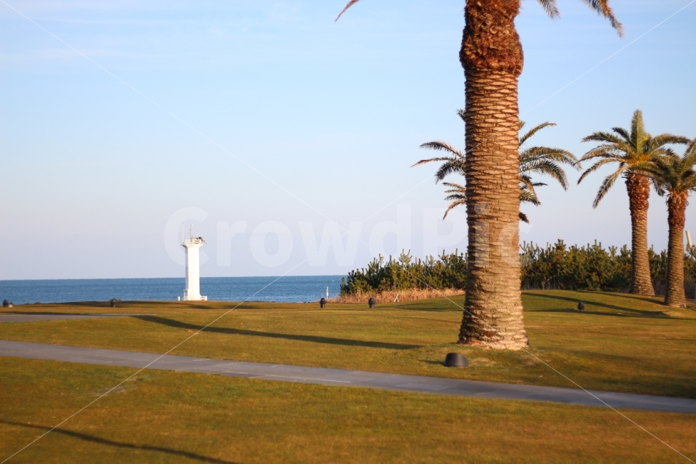 풍경,등대,바다,야자수,제주도,자연,풍경,nature,landscape,등대,lighthouse,제주도,jeju,jeju island,plant,식물,tree,나무