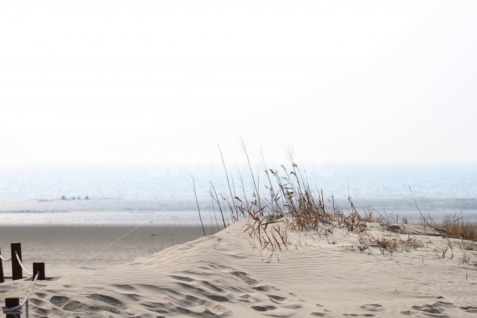 모래톱,바다풍경,자연,감성,갯벌,자연,풍경,nature,landscape,한국자연풍경,한국자연경관,korea nature landscape,soil,흙,outdoors,옥외,sand,모래,dune,모래 언덕
