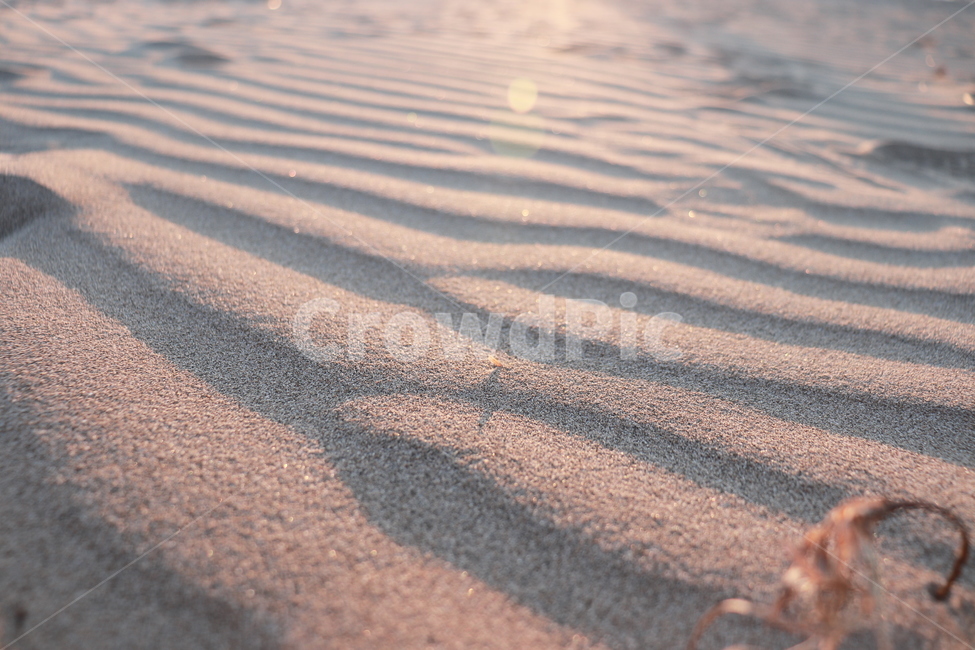 흙,sand,모래,nature,자연