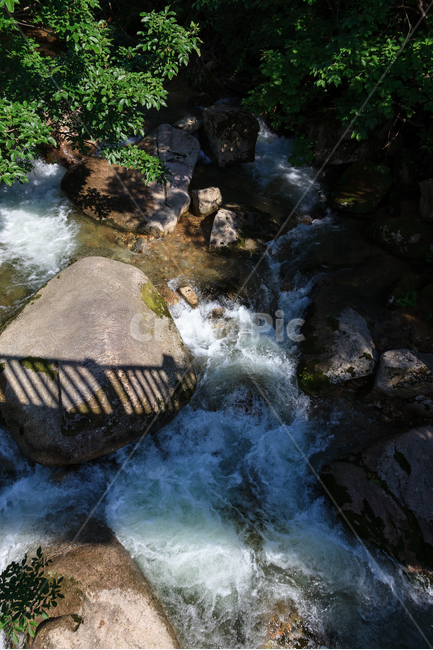 제천자드락길,계곡물,골짜기,숲,제천,자드락길,시원한,자연,풍경,nature,landscape,water,물,outdoors,옥외,stream,흐름,creek,작은 만
