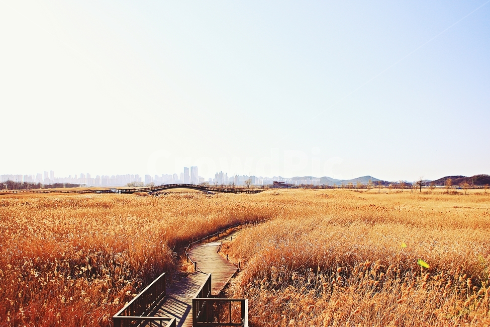 바라지다리,다리,생태공원,풍경,배경,자연,자연,풍경,nature,landscape,한국자연풍경,한국자연경관,korea nature landscape