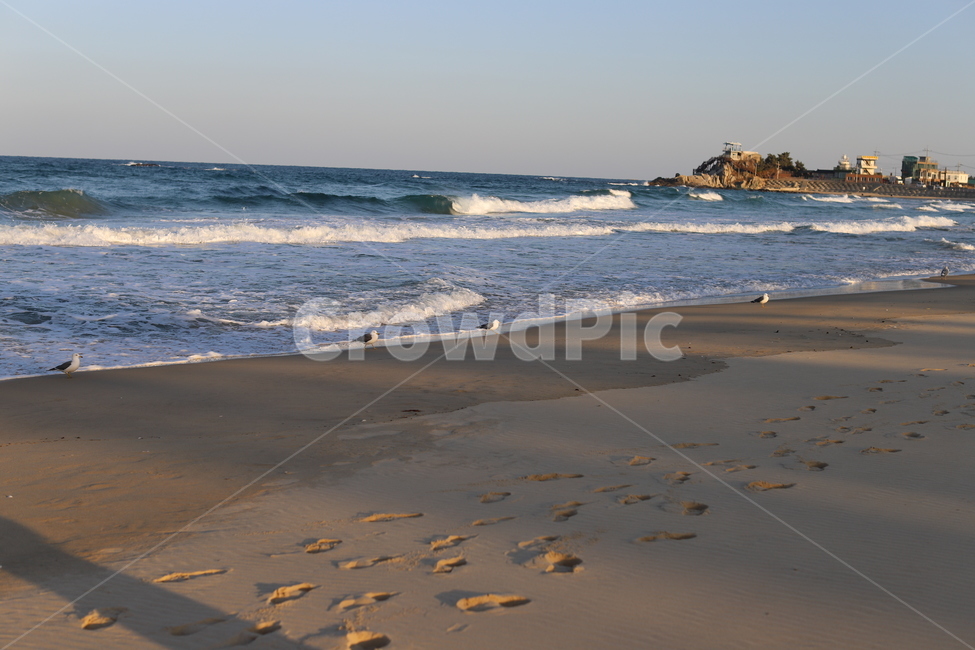 파도,안목해변,강릉,바다,동해,분위기,감성,물,자연,풍경,nature,landscape,해변,바다,beach,sea,ocean,대양,outdoors,옥외,water