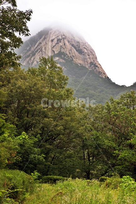 노적봉,암석,북한산,북한산성,국립공원,운무,자연,자연,풍경,nature,landscape,outdoors,옥외,tree,나무,plant,식물