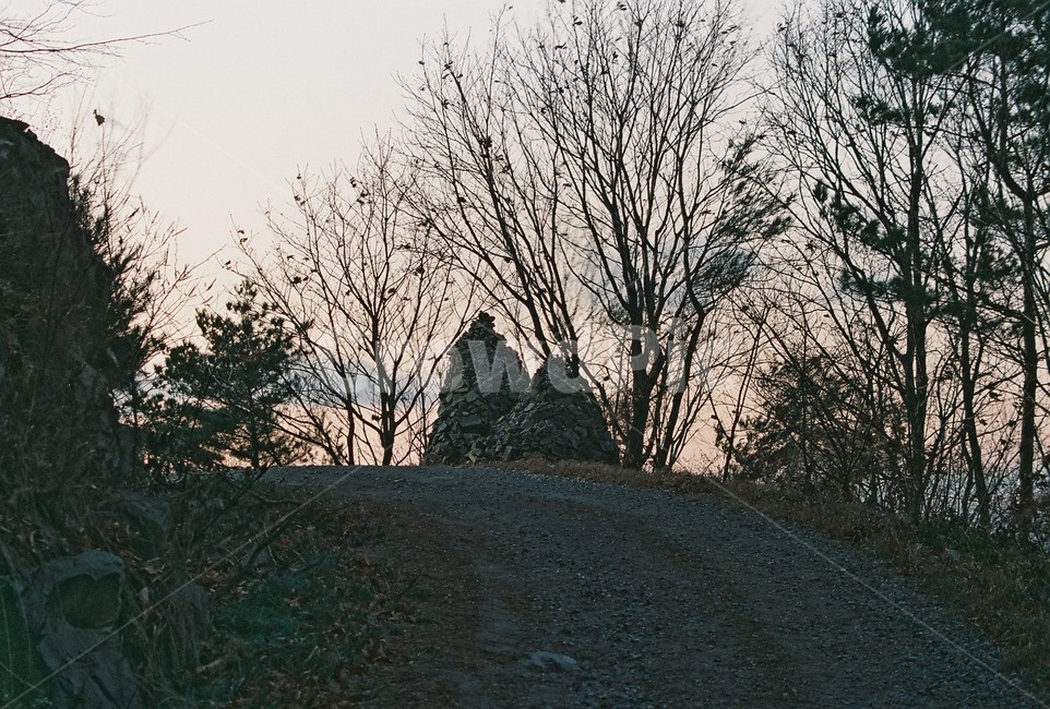 풍경,임도,돌탑,계절,늦가을,scenery,mountainroad,stonetower,season,latefall,가을,계절,fall,autumn,season,자연,풍경,nature,landscape,한국자연풍경,한국자연경관,korea nature landscape,ground,바닥,tree,나무,plant,식물