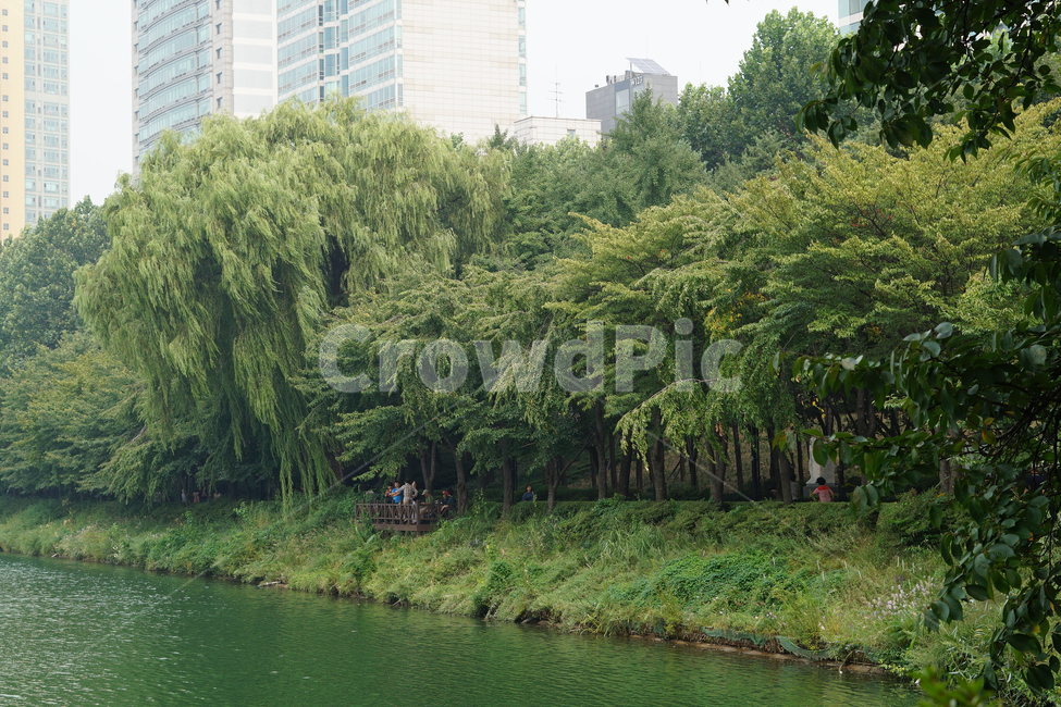 나무,자연,풍경,호수,봄,강가,공원,녹색풍경,마음정화,눈정화,nature,landscape,휴식,힐링,rest,relaxation,healing,자연,풍경,nature,landscape,사람들,대중,군중,other people,crowd,tree,plant,식물,outdoors,옥외,vegetation,초목