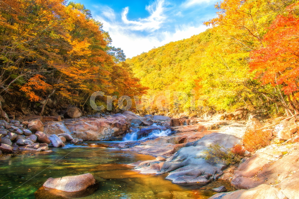단풍,계곡,가을,산,물,가을,계절,fall,autumn,season,자연,풍경,nature,landscape,water,outdoors,옥외,creek,작은 만,stream,흐름
