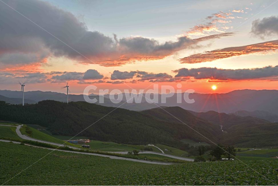 일출,매봉산일출,sunrise,sunup,해돋이,매봉산,풍경,자연,감성