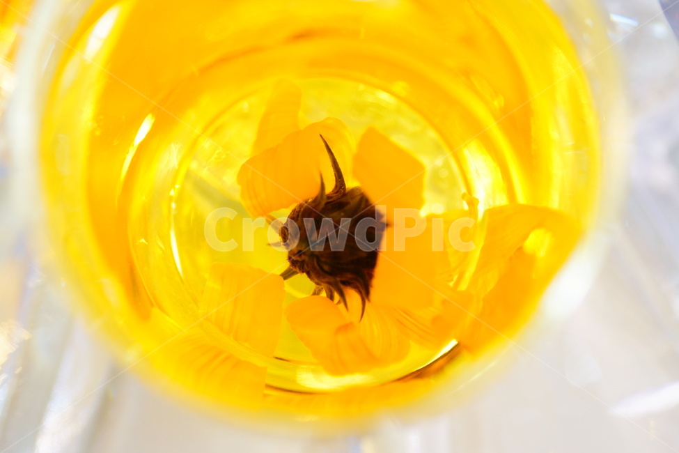 차,꽃차,카페,티,음료,힐링,식물,tea