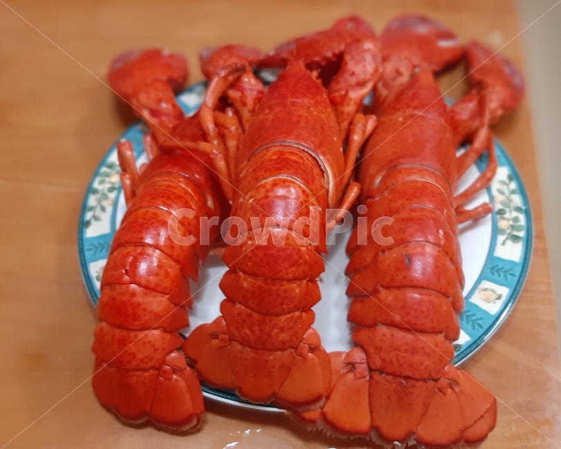 seafood,해물,lobster,랍스터,food,음식,수산물,해산물