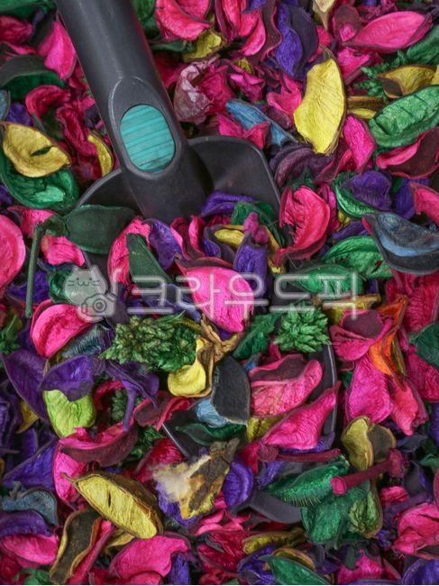 방향제,향수,꽃잎,잎,드라이플라워,dryflower