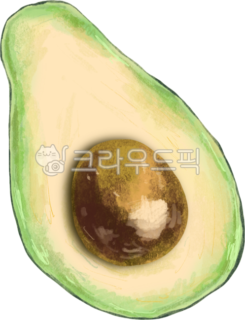 아보카보,과일,아보카도그림,아보카도샐러드,샐러드,야채,채소,아보카도이미지,아보카도열매,아보카도일러스트,fruit,vegetable,avocado,illustratio