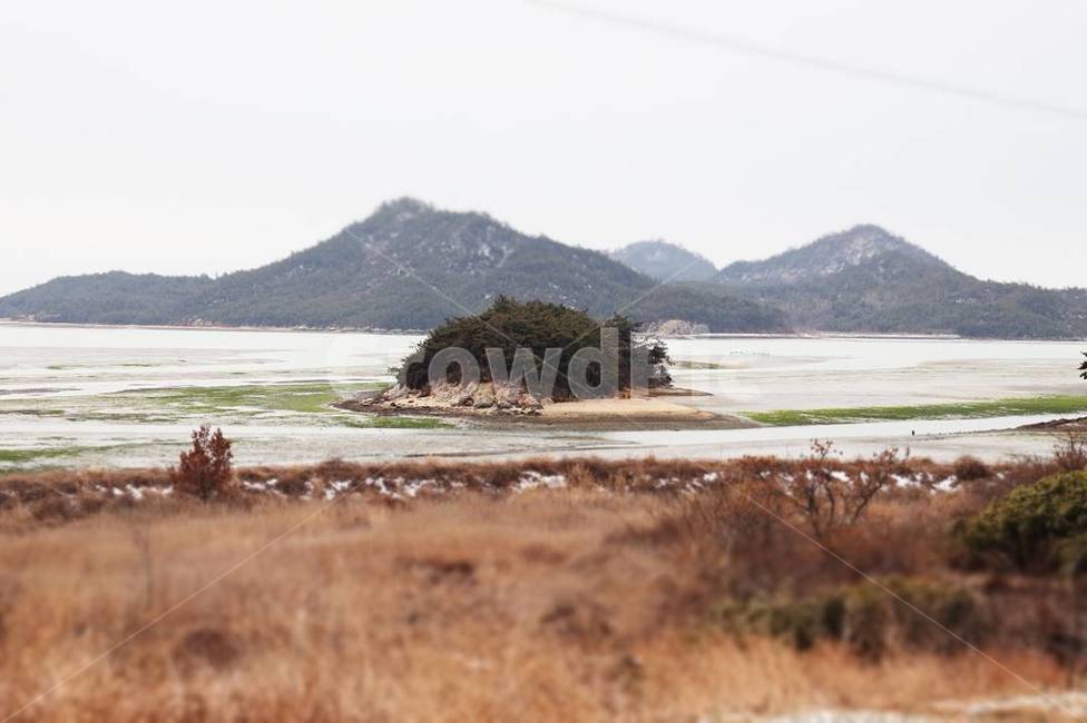 섬,갈대,바다,가을,안개섬,자연,풍경,nature,landscape,land,땅,outdoors,옥외,water,물,ocean,대양,sea,shoreline,해안선
