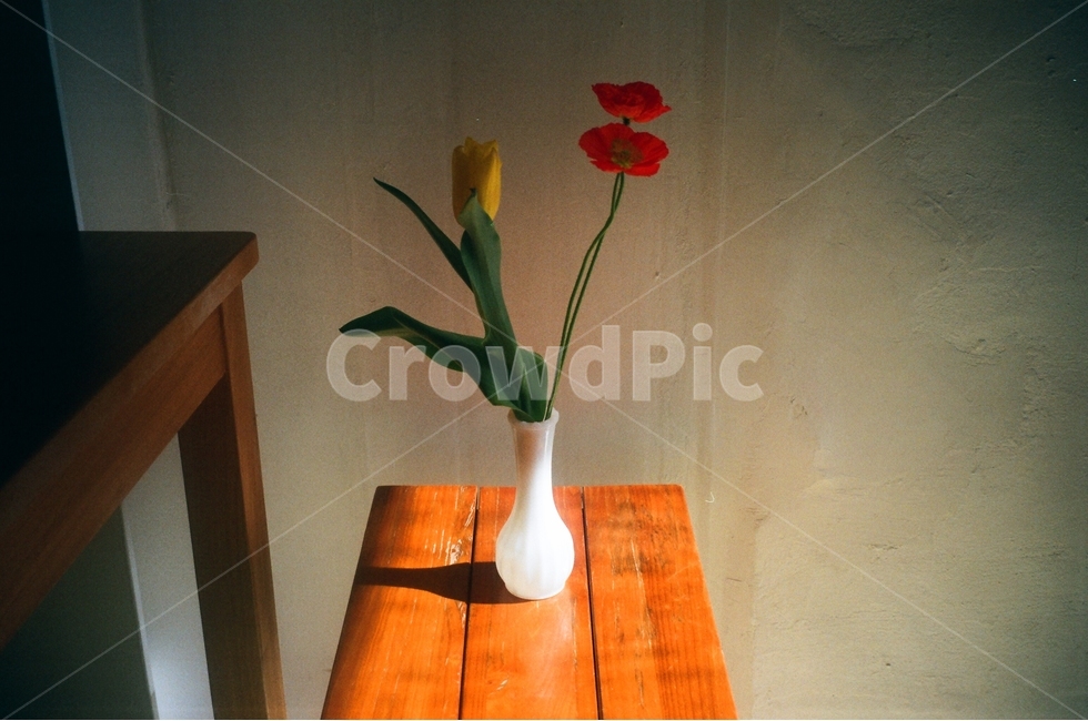 꽃병,튤립,식탁,그림자,양귀비,필름사진,오후,휴식,꽃,flower,실내용화초,화분,화초,house plant,감성,sensible,feeling