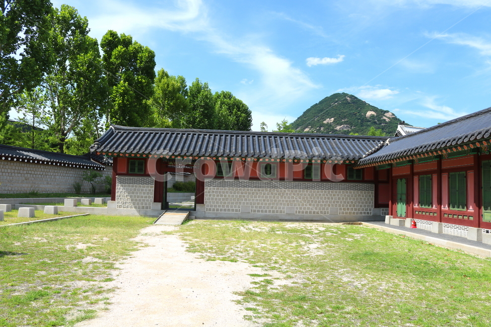 경복궁,고궁,기와지붕,서울,광화문,옛날집,인왕산,산,나무,한국전통,한국문화,korean traditional,korean culture,랜드마크,landmark,tourist attraction,한국랜드마크,한국관광지,한국명소,korea landmark,korea tourist attraction,건축물,건물외관,exterior,building,structure,architecture,construction