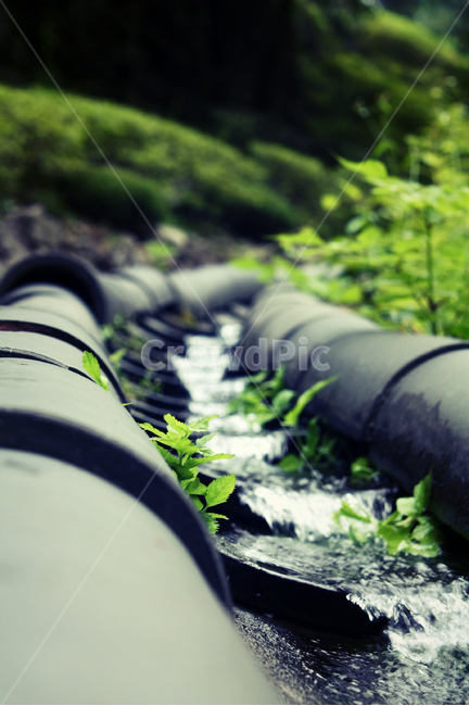 기와장,시냇물,여름,물,샘물,녹색,절,waterfall,여름,계절,summer,season,pipeline,관로