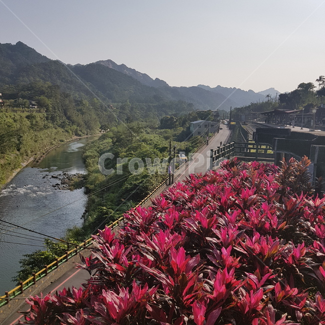 자연,꽃,분홍,하늘,물,자연,풍경,nature,landscape,outdoors,옥외,scenery,경치