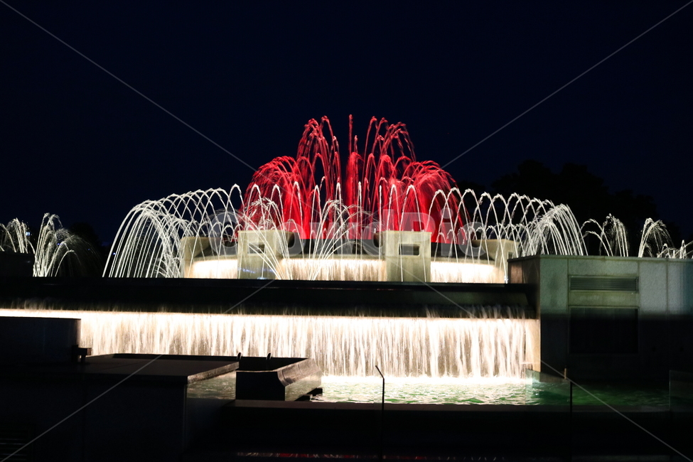 분수대,분수,물,야경,밤,풍경,빛,야경,밤,풍경,nightscape,night,landscape,water,fountain
