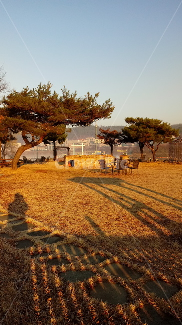 자연,공원,호수,유원지,나무,잔디,의자,탁자,그림자