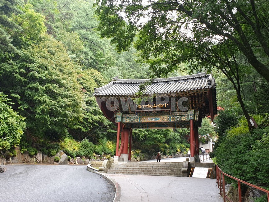 소백산,구인사,절,자연,평화