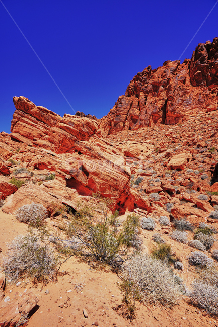 불의계곡,valleyoffire,건조한,dry,풍경,파란하늘,red,sandstone,자연,풍경,nature,landscape,해외,외국,세계,foreign,oversea,world,세계자연풍경,해외자연풍경,외국자연풍경,world nature landscape,outdoors,옥외,mountain,산