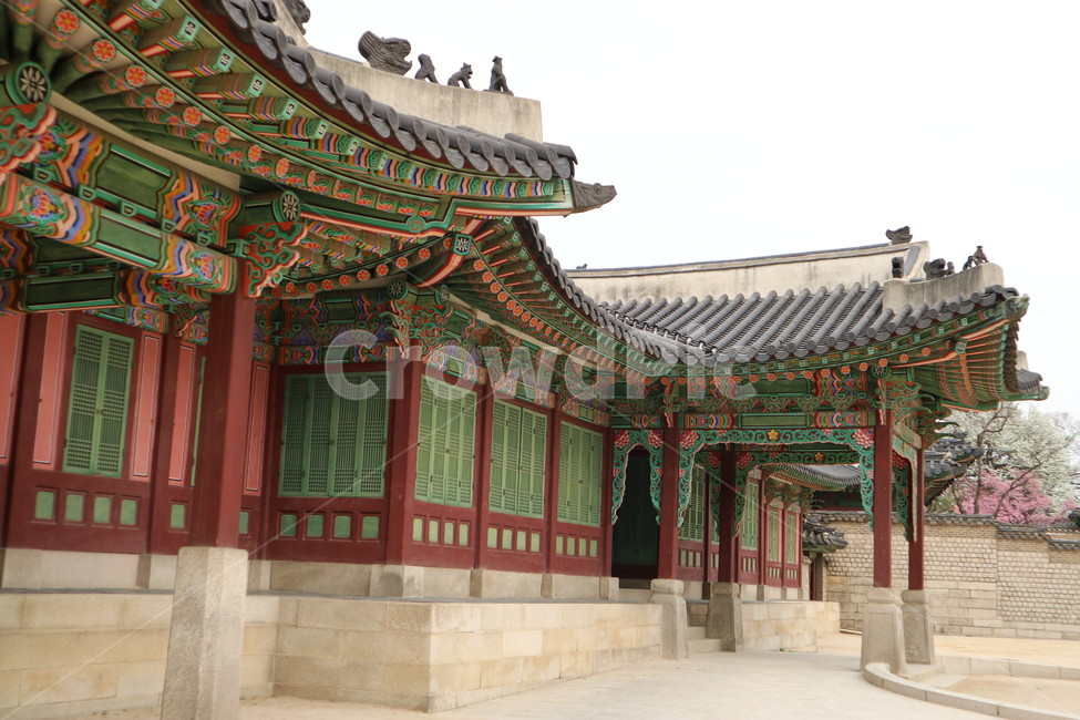 창덕궁,봄,산책,꽃,궁궐,전통,풍경,한국전통,한국문화,korean traditional,korean culture,랜드마크,landmark,tourist attraction,한국랜드마크,한국관광지,한국명소,korea landmark,korea tourist attraction