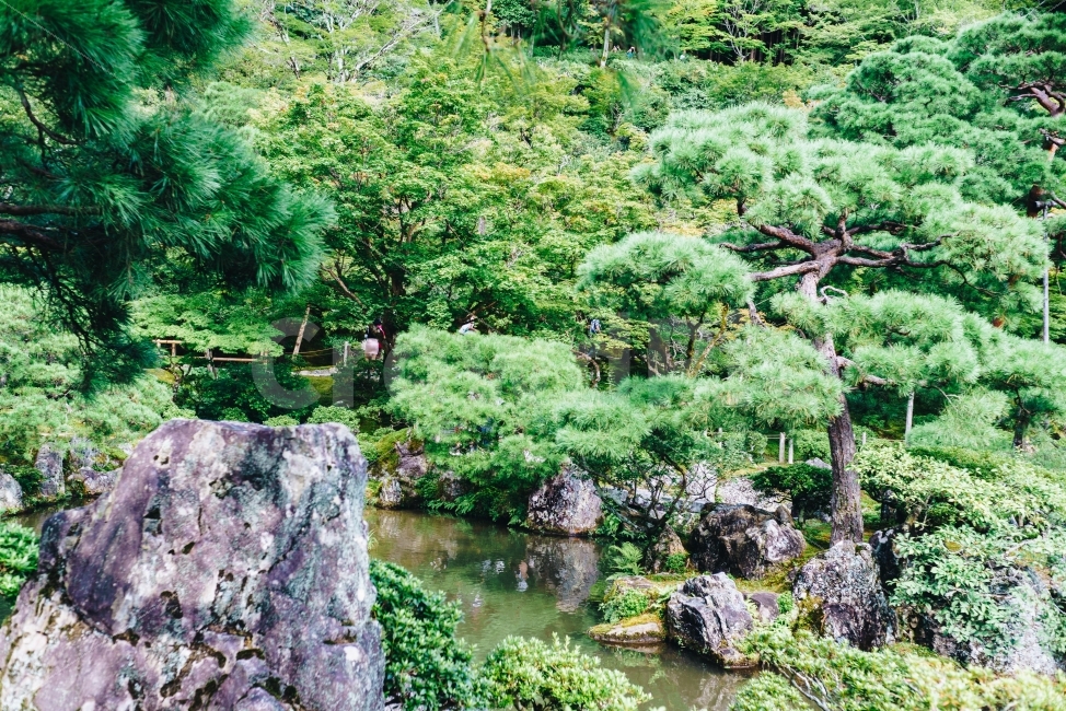 일본,교토,은각사,긴카쿠지,銀閣寺,여행,일본여행,여행지,관광지,japan,kyoto,travel,touristspots,temple,연못,pond,나무,숲,forest,woods,자연,풍경,nature,landscape,랜드마크,landmark,tourist attraction,해외,외국,세계,foreign,oversea,world,세계랜드마크,해외랜드마크,외국랜드마크,world landmark,world tourist attraction,식물,plants,나무,trees,wood,water,물,vegetation,초목,plant,outdoors,옥외