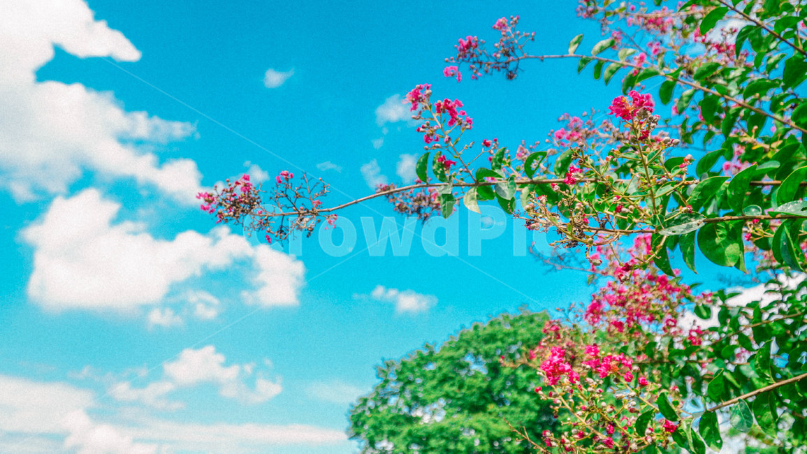경주,옷,하늘,sky,colorful,blue