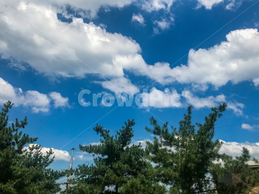 하늘,파란,푸른,파란하늘,맑은,맑은날,화창한,구름,blue,sky,뭉게구름,감성