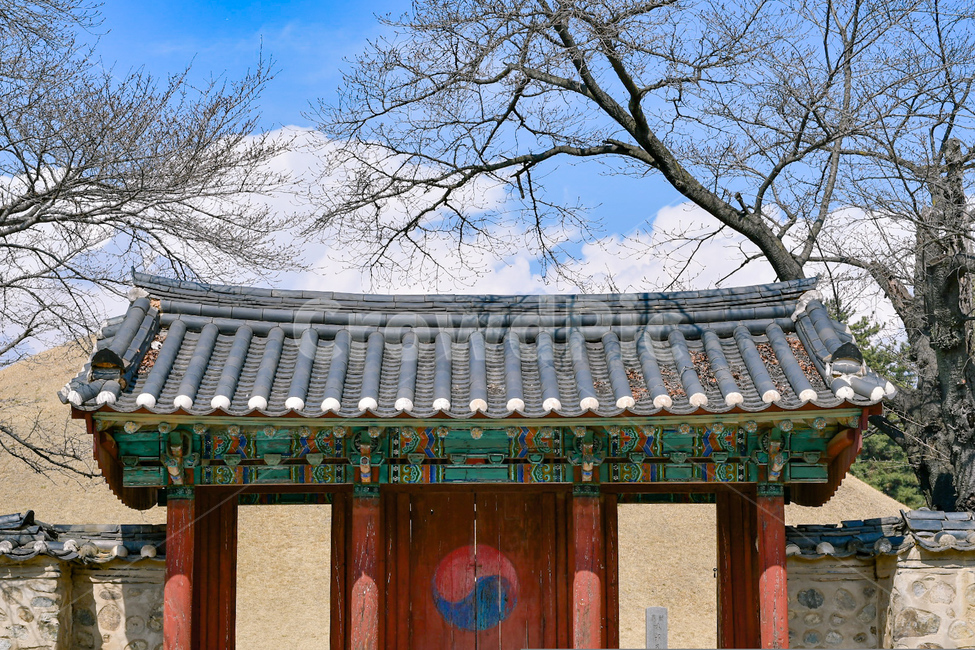 경주,대릉원,나무,하늘,구름,한국,koreantraditional,한국전통,한국문화,korean traditional,korean culture,건축물,건물외관,exterior,building,structure,architecture,construction