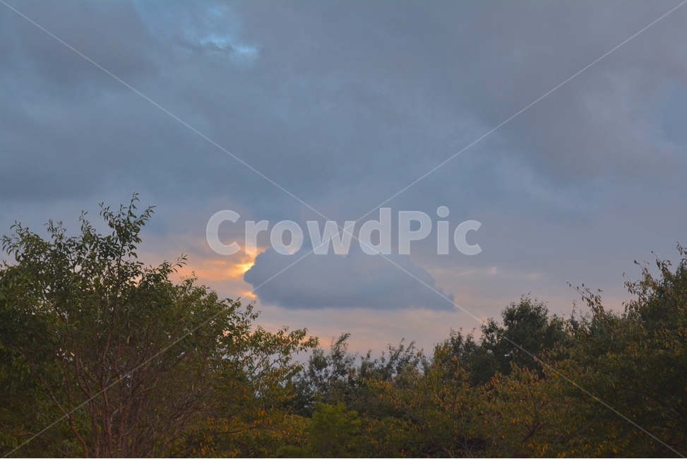 nature,outdoors,자연,옥외,weather,날씨,구름,cloud,나무,tree,하늘