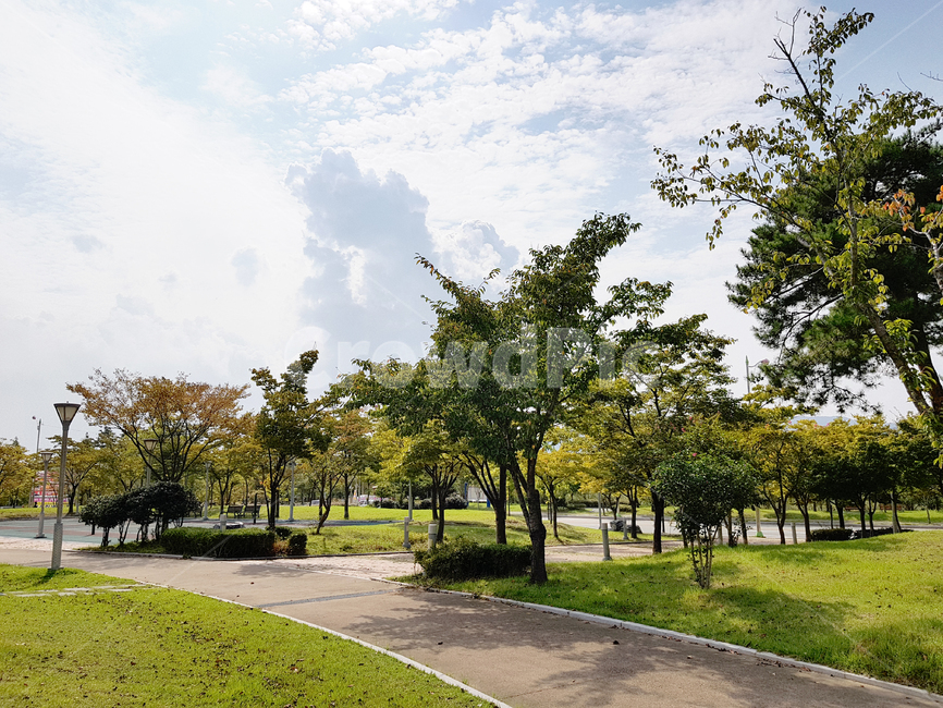 plant,식물,grass,잔디,tree,나무,양산시,거리,금산근린공원,자연,풍경,nature,landscape,road,도로,outdoors,옥외