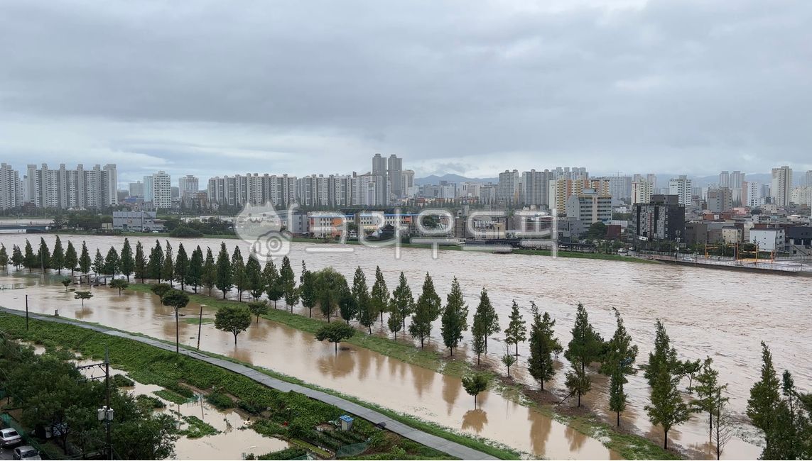 한남로,태풍,동천강,물넘침,강변,침수,자연