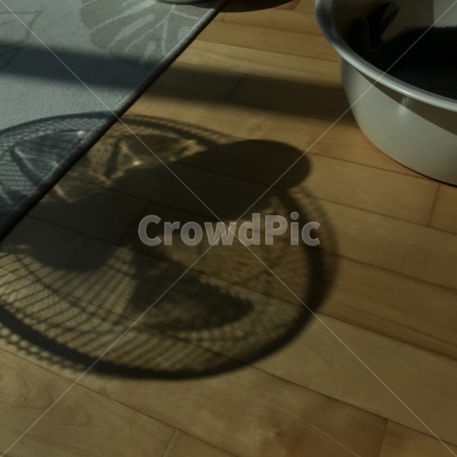 그림자,빛,선풍기,shadow,livingroom,여름,계절,summer,season