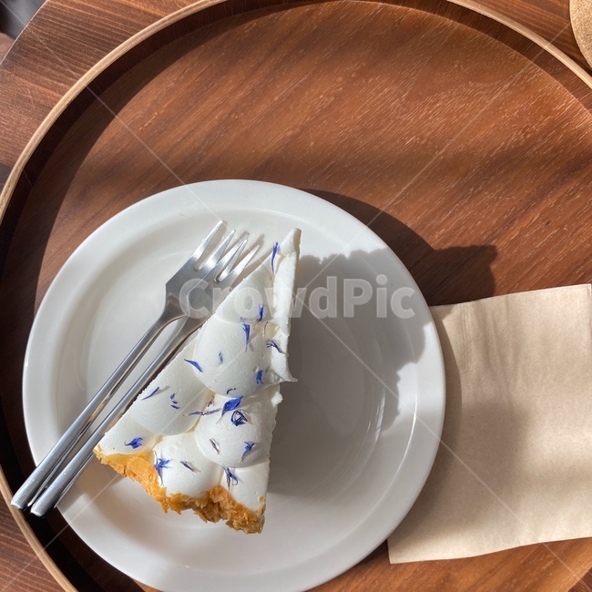 cake,cafe,케이크,카페,포크,fork