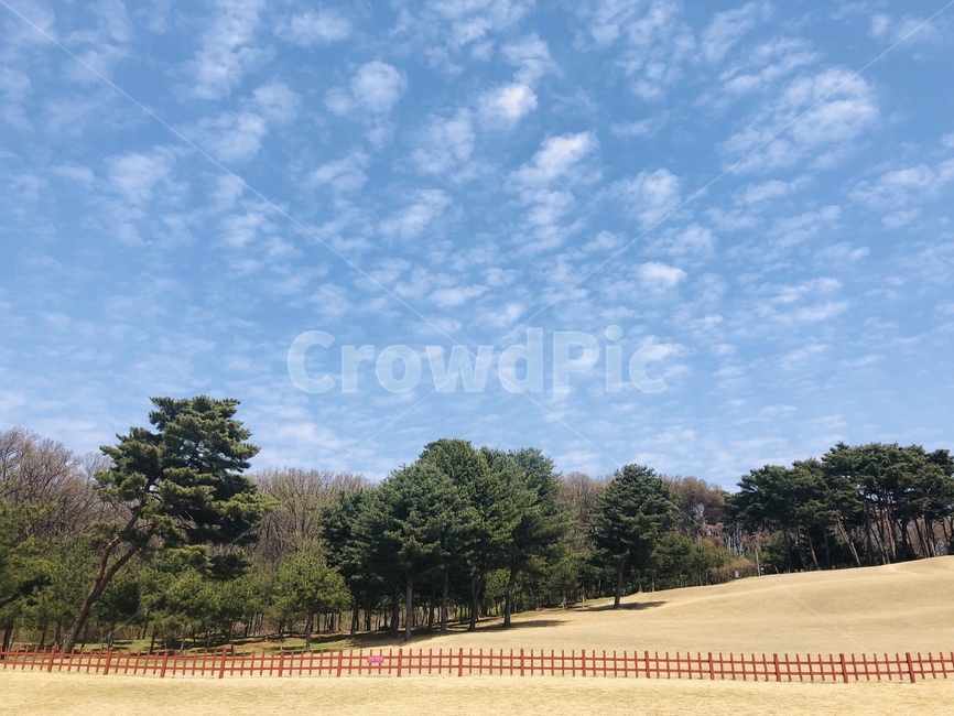 한옥,하늘,구름,봄,정릉,풍경,전통,문화유산,화성,융릉,나무,잔디,문화재,예쁜풍경