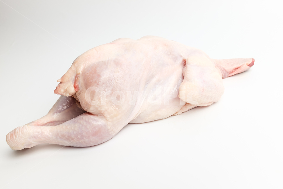 chicken breast,chicken,ingredient,raw,raw chicken,white meat,delicious,food,meal,Chicken leg meat,meat,Food Ingredients,ingredients,chicken neck,cooking,fresh,trimmed,chicken leg,chicken wings
