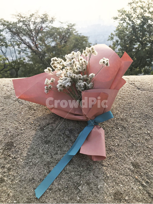 꽃다발,미니꽃다발,식물,꽃,flower