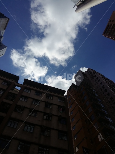 빌딩숲,파란하늘,사무실건물,빌딩,building