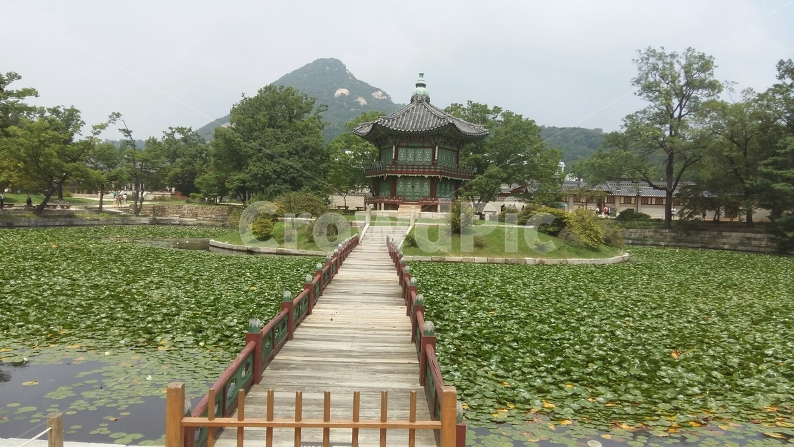 다리,서울,경복궁,향원정,정원,연못,자연,하늘,산,나무,인공연못,여름,정자,한국전통,korea,한국문화,summer